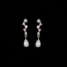 Load image into Gallery viewer, The Carats