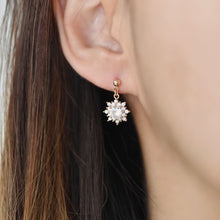 Load image into Gallery viewer, The Sol Earring