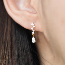 Load image into Gallery viewer, The Carats