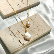 Load image into Gallery viewer, The Aerial