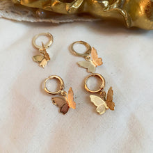 Load image into Gallery viewer, Butterfly Effect